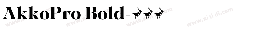 AkkoPro Bold字体转换